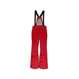 Netto Marken-Discount Spyder Dare Tailored Herren Träger Skihose Angebot