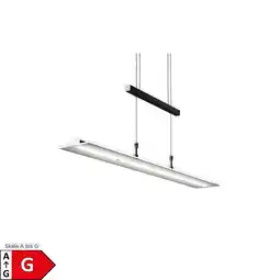 Netto Marken-Discount LED Pendelleuchte, schwarz, 1xLED-Platine/20W Angebot