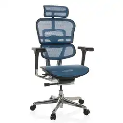 Netto Marken-Discount hjh OFFICE Luxus Chefsessel ERGOHUMAN GEN2 Netzstoff mit Armlehnen (höhenverstellbar) Angebot