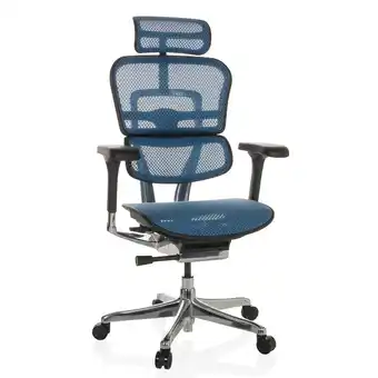 Netto Marken-Discount hjh OFFICE Luxus Chefsessel ERGOHUMAN GEN2 Netzstoff mit Armlehnen (höhenverstellbar) Angebot