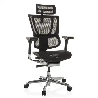 Netto Marken-Discount hjh OFFICE Luxus Chefsessel ERGOHUMAN SLIM GEN2 Netzstoff mit Armlehnen (höhenverstellbar) Angebot