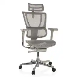 Netto Marken-Discount hjh OFFICE Luxus Chefsessel ERGOHUMAN SLIM G GEN2 Netzstoff mit Armlehnen (höhenverstellbar) Angebot