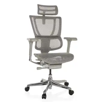 Netto Marken-Discount hjh OFFICE Luxus Chefsessel ERGOHUMAN SLIM G GEN2 Netzstoff mit Armlehnen (höhenverstellbar) Angebot
