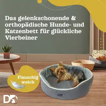 Netto Marken-Discount DEAR DARLING DD-05GRS Luxus Hundebett Katzenbett Anthrazit Gr. S 52x43cm mit Memoryschaum Matratze Angebot