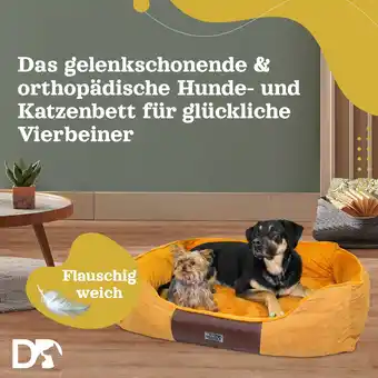 Netto Marken-Discount DEAR DARLING DD-04BRL Luxus Hundebett Katzenbett braun Gr. L 75x60cm mit Memoryschaum Matratze Angebot