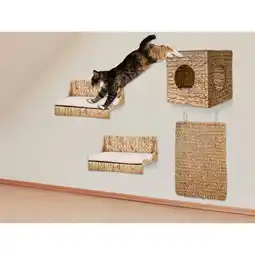 Netto Marken-Discount Silvio Design Kletterwand - versch. Größen Angebot