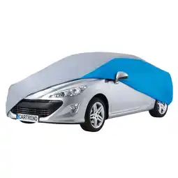 Netto Marken-Discount CARTREND Vollgarage Vlies L Angebot