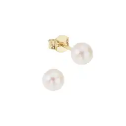 Netto Marken-Discount Fascination by Ellen K. Ohrringe Gold 585 mit weißen Perlen 5-5,5mm Angebot