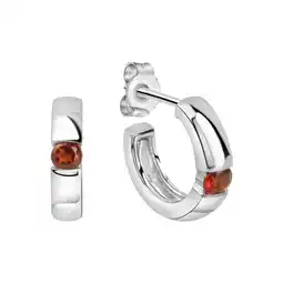 Netto Marken-Discount Jamelli Ohrringe Silber 925 rhodiniert mit echtem Granat Angebot