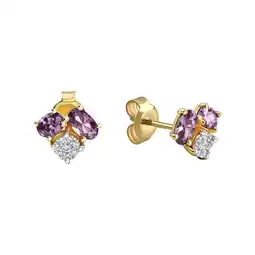 Netto Marken-Discount Fascination by Ellen K., Vivance Ohrringe Gold 375 Amethyst + Zirkonia Angebot