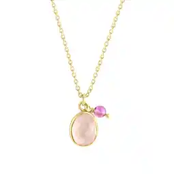 Netto Marken-Discount Jamelli Halskette Silber 925 vergoldet mit Amethyst und Rosenquarz Angebot