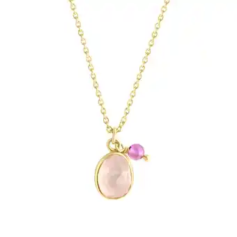 Netto Marken-Discount Jamelli Halskette Silber 925 vergoldet mit Amethyst und Rosenquarz Angebot