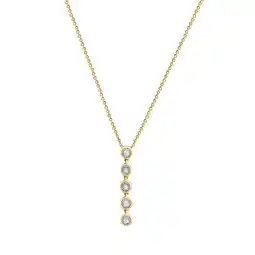 Netto Marken-Discount Diamonds by Ellen K. Halskette Gold 585 zweifarbig mit 5x Brillant zus. 0,05ct Angebot