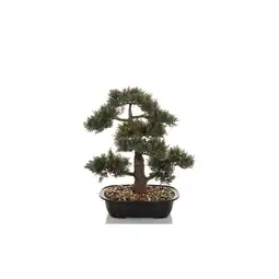 Netto Marken-Discount hjh OFFICE Kunstpflanze BONSAI Kunststoff Angebot
