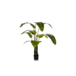 Netto Marken-Discount hjh OFFICE Kunstpflanze BANANE Kunststoff Angebot
