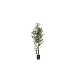 Netto Marken-Discount hjh OFFICE Kunstpflanze OLIVE I Kunststoff Angebot
