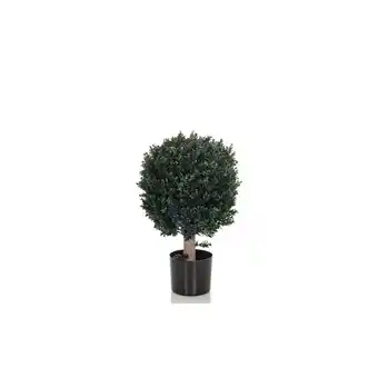 Netto Marken-Discount hjh OFFICE Kunstpflanze BUXUS Kunststoff Angebot