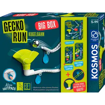 Netto Marken-Discount Kosmos Kugelbahn Gecko Run - Big Box Angebot