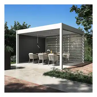 Netto Marken-Discount Sichtschutzelement für Pergola Pavillon mit Lamellen Dach Oasis weiß Angebot