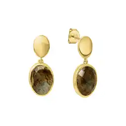 Netto Marken-Discount Celesta Silber Ohrring 925 Silber vergoldet Angebot