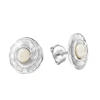 Netto Marken-Discount Celesta Silber Ohrring 925 Silber mit Süßwasserzuchtperlen Angebot