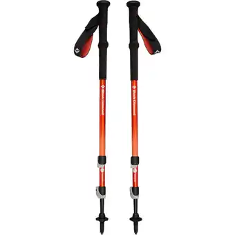 Netto Marken-Discount Black Diamond Fitnessgerät Trekkingstöcke Trail Back Angebot