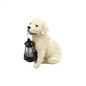Netto Marken-Discount LED Solarleuchte, Hund Labrador mit Laterne, H 24 cm Angebot