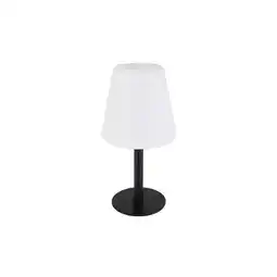 Netto Marken-Discount RGB LED Solar Tischleuchte, schwarz, weiß, Farbwechsel, H 30 cm Angebot