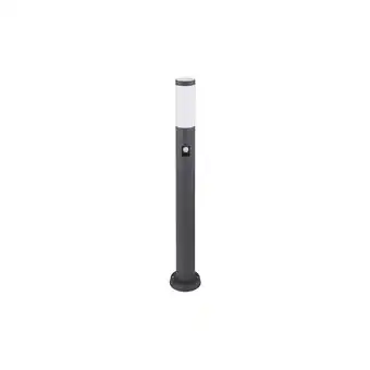Netto Marken-Discount Stehleuchte, Edelstahl anthrazit, Bewegungsmelder, H 80 cm Angebot