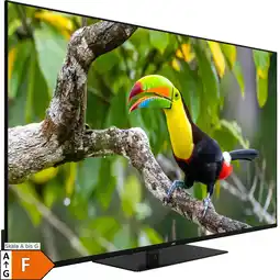 Netto Marken-Discount JVC LED-Fernseher LT-55VU6355 Angebot