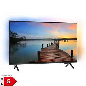 Netto Marken-Discount Philips LED-Fernseher 43PUS8319/12 Angebot