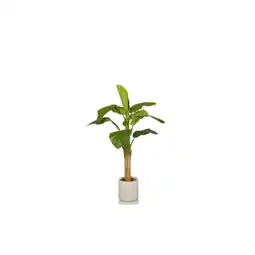 Netto Marken-Discount hjh OFFICE Kunstpflanze BANANE I Kunststoff Angebot