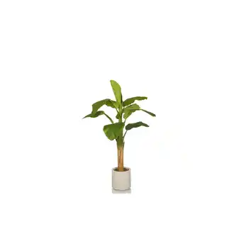 Netto Marken-Discount hjh OFFICE Kunstpflanze BANANE I Kunststoff Angebot