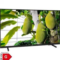 Netto Marken-Discount Philips LED-Fernseher 43PUS7609/12 Angebot