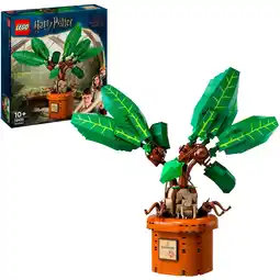 Netto Marken-Discount LEGO Konstruktionsspielzeug Harry Potter Zaubertrankpflanze: Alraune Angebot