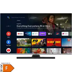 Netto Marken-Discount TELEFUNKEN QLED-Fernseher QU43AN900M Angebot