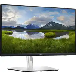 Netto Marken-Discount Dell LED-Monitor P2424HT Angebot