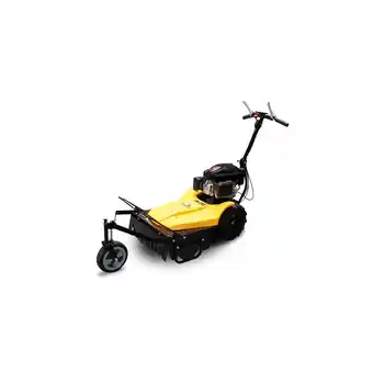 Netto Marken-Discount BAMATO Mulchmäher GM-200 mit LONCIN Motor Angebot