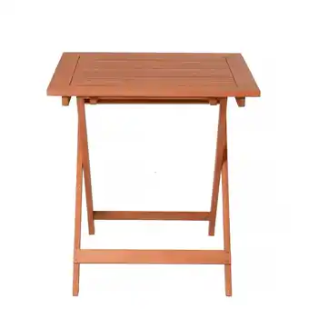 Netto Marken-Discount Klapptisch PASADENA Angebot