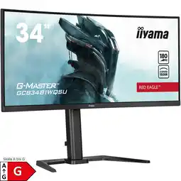 Netto Marken-Discount Iiyama Gaming-Monitor G-Master GCB3481WQSU-B1 Red Eagle Angebot