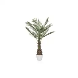 Netto Marken-Discount hjh OFFICE Kunstpflanze DRACAENA Kunststoff Angebot