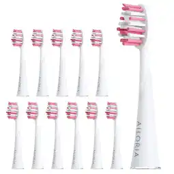 Netto Marken-Discount AILORIA Extra Clean Ersatzbürstenköpfe 12er Set SHINE BRIGHT Angebot