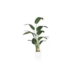 Netto Marken-Discount hjh OFFICE Kunstpflanze STRELITZIA Kunststoff Angebot