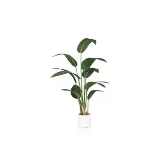 Netto Marken-Discount hjh OFFICE Kunstpflanze STRELITZIA Kunststoff Angebot