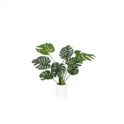 Netto Marken-Discount hjh OFFICE Kunstpflanze MONSTERA I Kunststoff Angebot