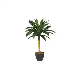 Netto Marken-Discount hjh OFFICE Kunstpflanze DRACAENA I Kunststoff Angebot