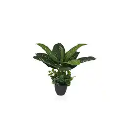 Netto Marken-Discount hjh OFFICE Kunstpflanze DIEFFENBACHIA Kunststoff Angebot