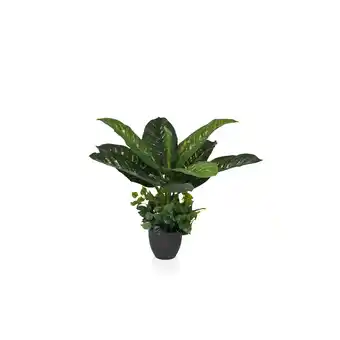 Netto Marken-Discount hjh OFFICE Kunstpflanze DIEFFENBACHIA Kunststoff Angebot