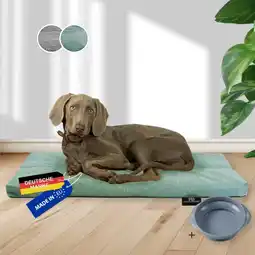 Netto Marken-Discount Rohrschneider Tierkissen Gr.3 Posterstoff Türkis + faltbarer Reisenapf Angebot
