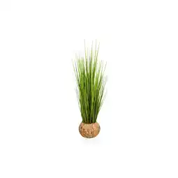 Netto Marken-Discount hjh OFFICE Kunstpflanze CORTADERIA Naturstroh Angebot